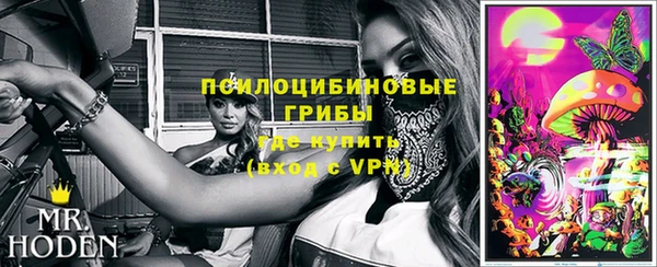хмурый Саяногорск