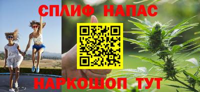 прущие грибы Апрелевка