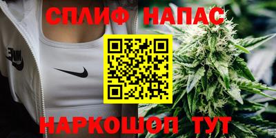 прущие грибы Апрелевка