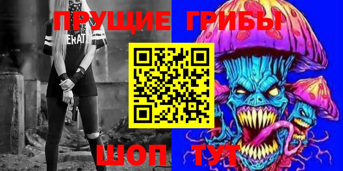что такое наркотик  Вход с VPN  Сибай  Псилоцибиновые грибы Psilocybe 