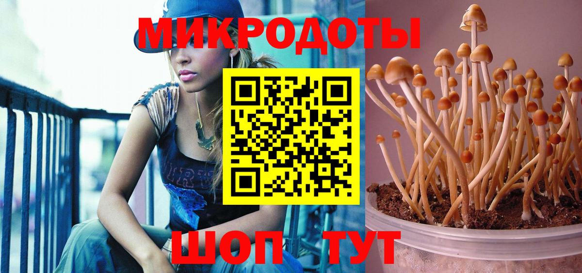 Псилоцибиновые грибы мицелий Сибай