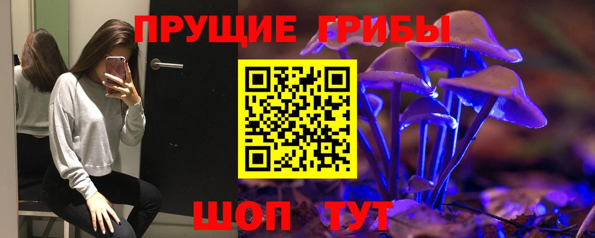 наркота  Сибай  Псилоцибиновые грибы прущие грибы 